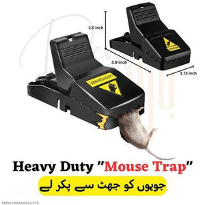 Mouse Trap, Pack Of 3