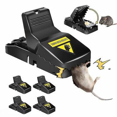 Mouse Trap, Pack Of 3