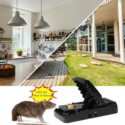 Mouse Trap, Pack Of 3